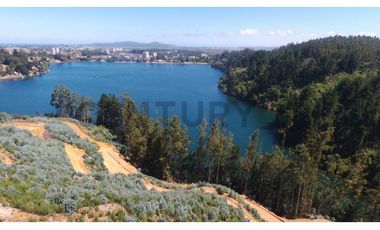 SE VENDEN TERRENOS CON VISTA A LA LAGUNA. IDAHUE