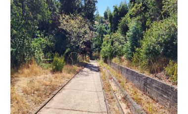 SE VENDEN TERRENOS CON VISTA A LA LAGUNA. IDAHUE