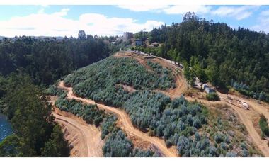SE VENDEN TERRENOS CON VISTA A LA LAGUNA. IDAHUE