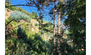 SE VENDEN TERRENOS CON VISTA A LA LAGUNA. IDAHUE