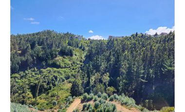 SE VENDEN TERRENOS CON VISTA A LA LAGUNA. IDAHUE