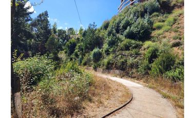 SE VENDEN TERRENOS CON VISTA A LA LAGUNA. IDAHUE