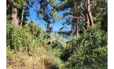 SE VENDEN TERRENOS CON VISTA A LA LAGUNA. IDAHUE