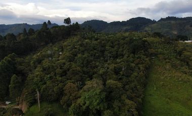 finca en venta en colombia / cundinamarca / guaduas /  vereda la cum. Cod V9412587