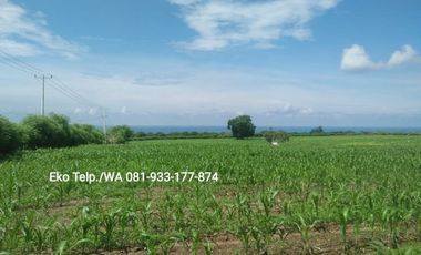 Dijual Cepat Tanah Tambak 150 hektar Lombok Utara