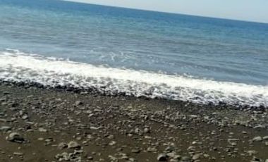 Dijual Cepat Tanah Tambak 150 hektar Lombok Utara