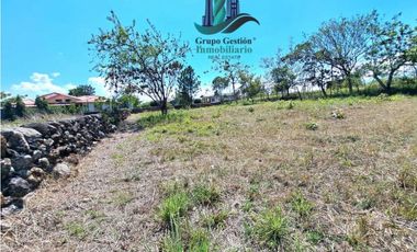 VENDO LOTE DE 1000M2 EN EL FRANCES