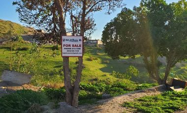 TERRENO EN VENTA COL LOS RAMOS*