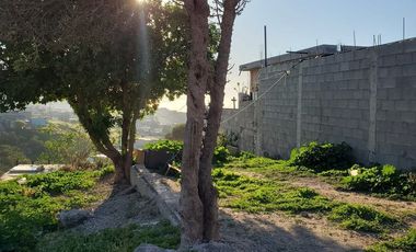 TERRENO EN VENTA COL LOS RAMOS*