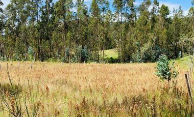 Terreno en venta, sector Solano, Azuay