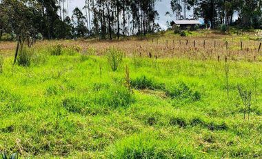 Terreno en venta, sector Solano, Azuay