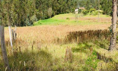 Terreno en venta, sector Solano, Azuay