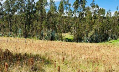 Terreno en venta, sector Solano, Azuay