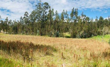 Terreno en venta, sector Solano, Azuay