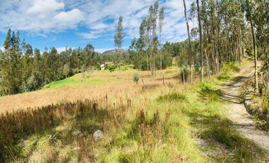 Terreno en venta, sector Solano, Azuay