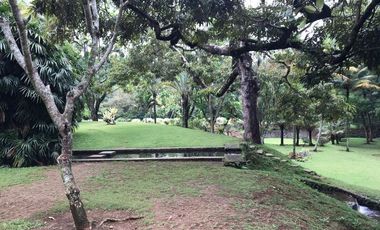 Tanah Komersil  di Jl Raya Puncak Bogor - Harga Cincai