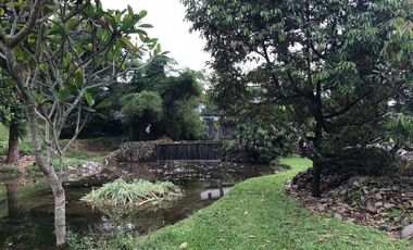 Tanah Komersil  di Jl Raya Puncak Bogor - Harga Cincai