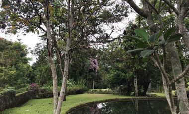 Tanah Komersil  di Jl Raya Puncak Bogor - Harga Cincai