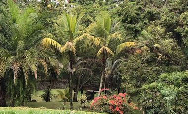 Tanah Komersil  di Jl Raya Puncak Bogor - Harga Cincai