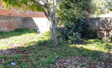 LATORRE PROP VENDE CASA DE 3 AMB CON PARQUE..URGENTE!! HAY PLANOS Y ESCRITURA