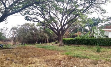 lote en venta en bocono. Cod V101131