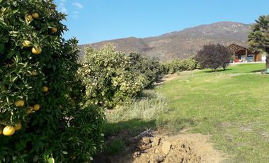 VENTA TERRENO - SITIO 850000MTS Melipilla