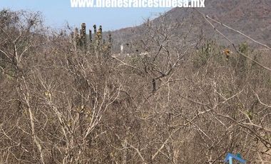 Terrenos Habitacionales en Venta en Mazatlán |  Adquiere tu terreno en Mazatlán hoy mismo