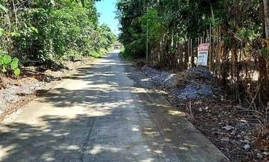 LAND FOR SALE IN MINDORO WITH FRUIT BEARING TREES