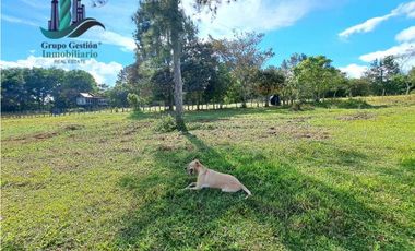 VENDO LOTE TITULADO DE 1200M2 POTRERILLOS ABAJO