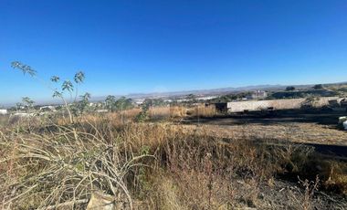Terreno industrial en venta en Lo de Juárez, Irapuato, Guanajuato
