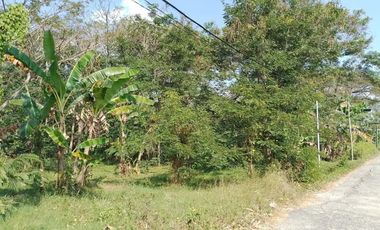 Tanah Dijual Timur SMP N 30 Purworejo, SHM Harga Promo