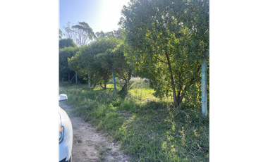 Terrenos de 15 de frente por 20 de fondo dos juntos