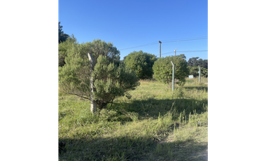 Terrenos de 15 de frente por 20 de fondo dos juntos