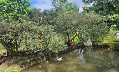 casa campestre en venta en dapa. Cod V6663604