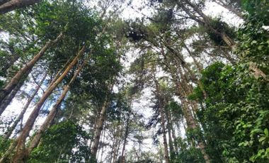 casa campestre en venta en dapa. Cod V6663604