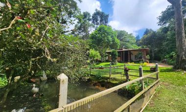 casa campestre en venta en dapa. Cod V6663604