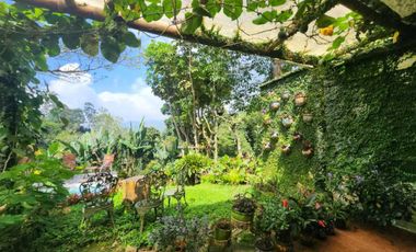 casa campestre en venta en dapa. Cod V6663604