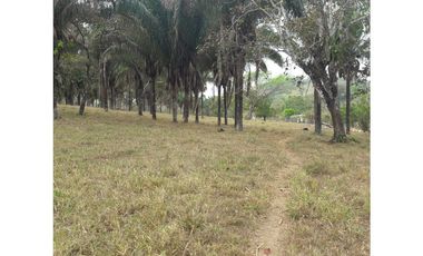 Terreno venta en Panamá, Ciudad de Panamá