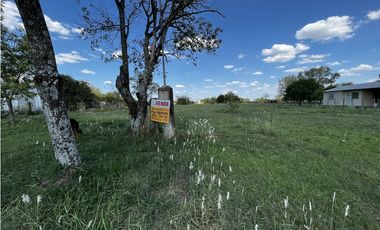 Vendo Casa con gran Terreno en Herrera, Entre Ríos.