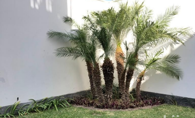 MODERNA CASA EN VENTA CON 6 DORMITORIOS CON PISCINA EN PARACAS