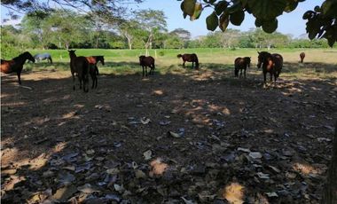 VENTA DE PARCELA EN FLORAL, MONTERIA