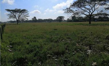 VENTA DE PARCELA EN FLORAL, MONTERIA