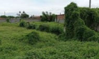 disewa tanah kavling lokasi strategis area teluk naga cengkareng jakarta barat