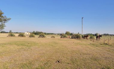 Terreno en venta de 800m2 en una zona ideal para descansar, Cañuelas campo