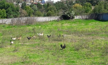 RANCHO EN VENTA EN ACULCO, ESTADO DE MÉXICO  OPORTUNIDAD