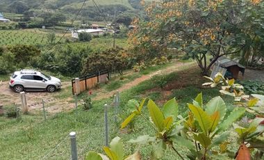 VENDO O PERMUTO FINCA 1669 m² ,Arboles Frutales, segura, cómoda, vista excelente y clima. A  Solo 15 Minutos del hospital de Jamundí. Cod V7513