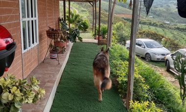 VENDO O PERMUTO FINCA 1669 m² ,Arboles Frutales, segura, cómoda, vista excelente y clima. A  Solo 15 Minutos del hospital de Jamundí. Cod V7513