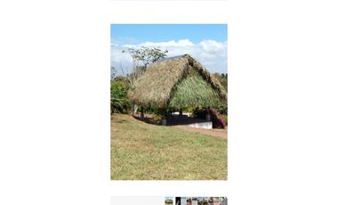 VENTA TERRENO DE 12MIL M2 CON CABAÑA - HACIENDA SANTA DOMENICA