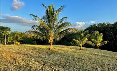 VENTA TERRENO DE 12MIL M2 CON CABAÑA - HACIENDA SANTA DOMENICA