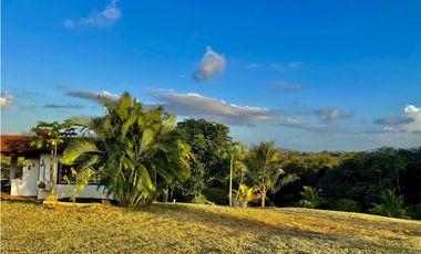 VENTA TERRENO DE 12MIL M2 CON CABAÑA - HACIENDA SANTA DOMENICA